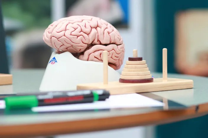 What to get a college student for Christmas, what to gift someone who loves psychology, psychology student Christmas gift ideas, psychology student Christmas gifts, clinical psychology student Christmas, psychology student gifts, Christmas gifts for psychologists, good gifts for psychology majors, great gifts for psychologists, gift ideas for psychology students, psychology gifts for the psych student in your life, unique Christmas gifts for psychology students, best Christmas gifts for psychology students, Christmas gift ideas for psychology students, Christmas gift ideas for psychologists, Christmas gift ideas for psychology majors, Christmas gift ideas for psychology majors,